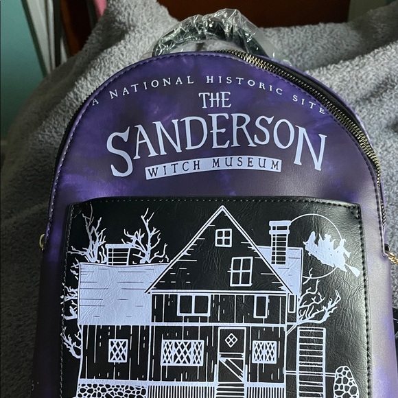 Hocus Pocus Sanderson’s House Mini Bookbag - Picture 3 of 10